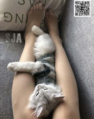 日韩成人在线看_720全集免费观看