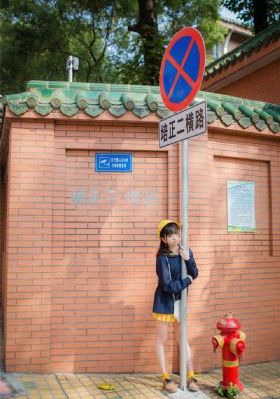 欧美经典音乐中文字幕_DVD在线视频观看