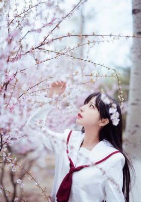在线看片日韩免费视频_BD完整视频观看