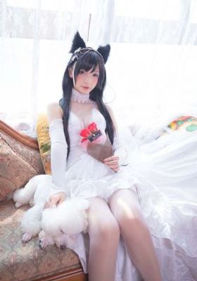 亚洲精品成人一区二区_HD免费电视剧